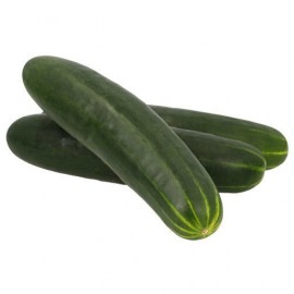 PEPINO KG