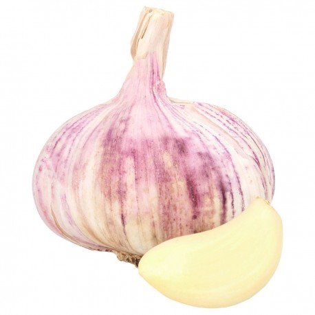 AJO KG