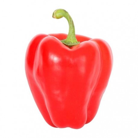 CHILE MORRON ROJO KG