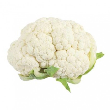COLIFLOR PZA.