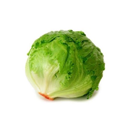 LECHUGA BOLA PZA.