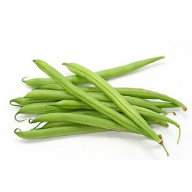 EJOTE KG