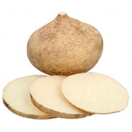 JICAMA KG