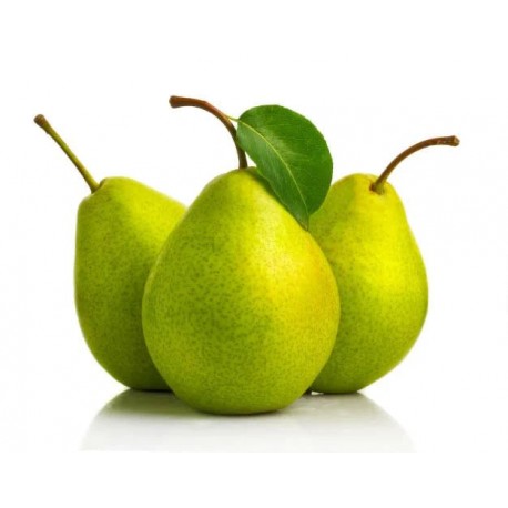 PERA D ANJOU KG