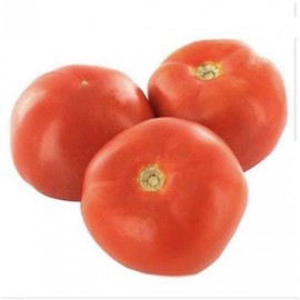 TOMATE BOLA KG