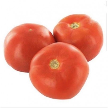 TOMATE BOLA KG