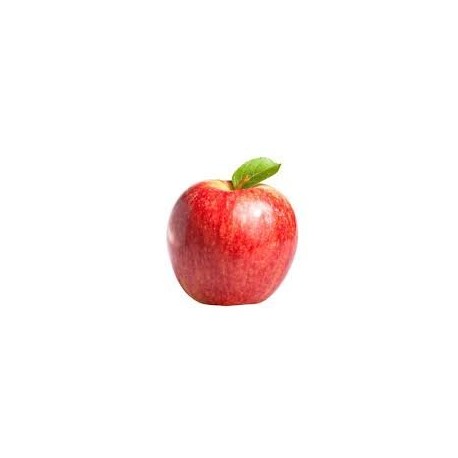 MANZANA GALA KG