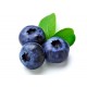 BLUE BERRY CAJITA