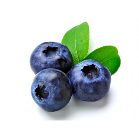 BLUE BERRY CAJITA