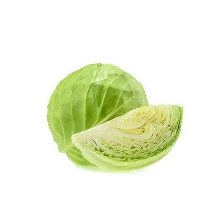 REPOLLO BLANCO KG