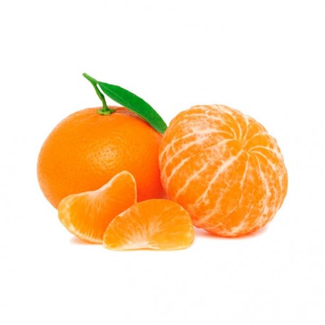 MANDARINA KG