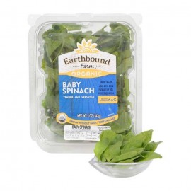 ESPINACA BABY ORGANIC 142GR.NUTRIBITS