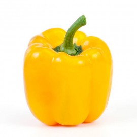 CHILE MORRON AMARILLO KG